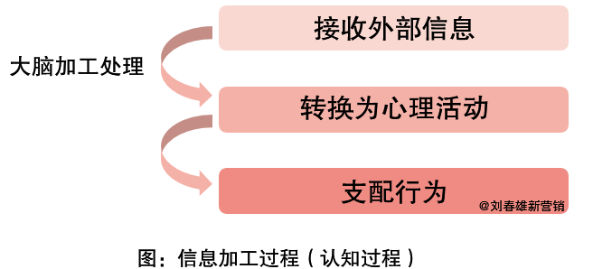 IP是不同于品牌的认知符号